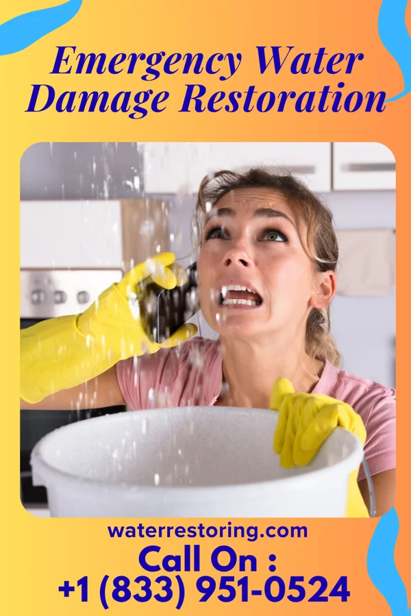 Emergency Water Damage Restoration in Cedar Rock, NC