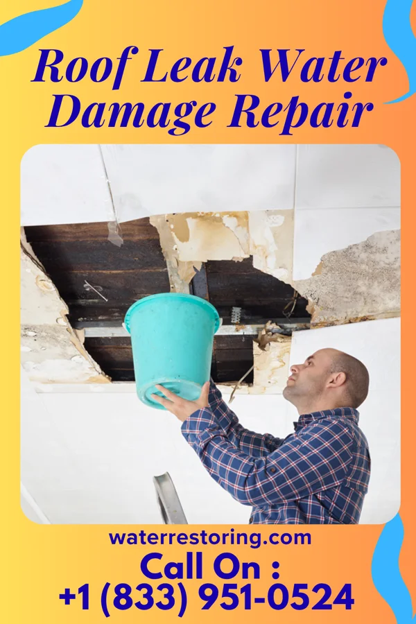 Roof Leak Water Damage Repair in Cedar Rock, NC
